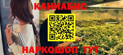 трава Пугачёв