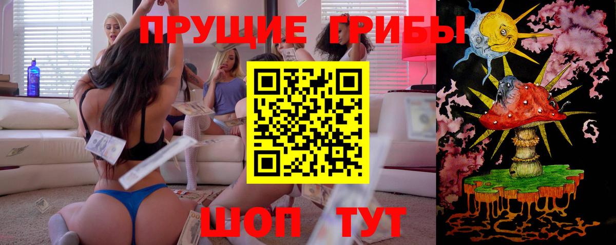 Галлюциногенные грибы GOLDEN TEACHER Светлоград