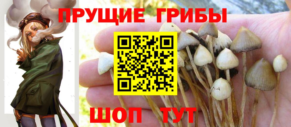 Псилоцибиновые грибы Magic Shrooms  Вход с VPN  Галлюциногенные грибы ЛСД  наркотики  Светлоград 